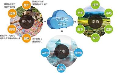 他山之石可以攻玉 借鑒美國(guó)農(nóng)業(yè)信息化經(jīng)驗(yàn)，以信息技術(shù)咨詢(xún)服務(wù)升級(jí)中國(guó)農(nóng)民